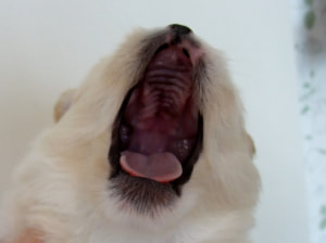 DSCF9669