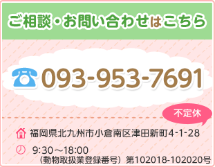 093-953-7691